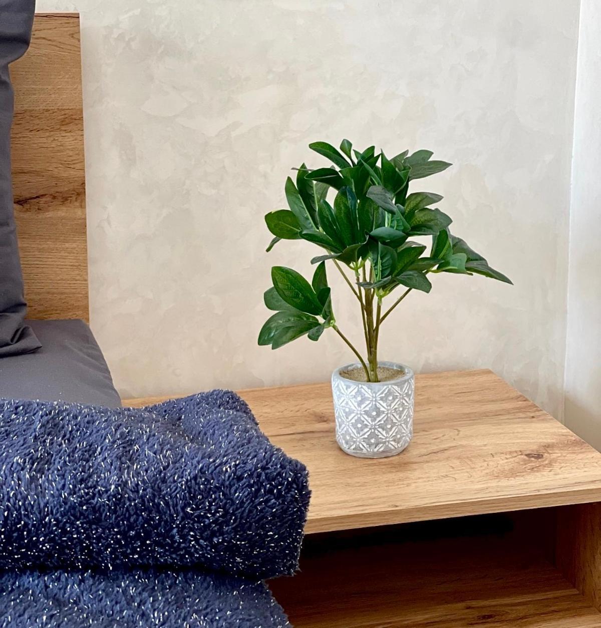 Urbain Elegant Et Chic Appartement Agadir